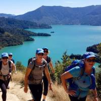 Trekking above Marlborough Sounds | Ross Daubney