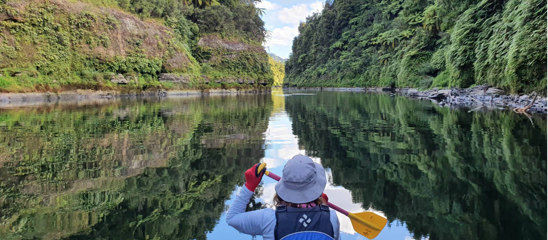 A Great Walk that requires a canoe, the Whanganui Journey