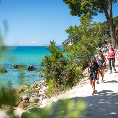 People walking along water in Abel Tasman NP
