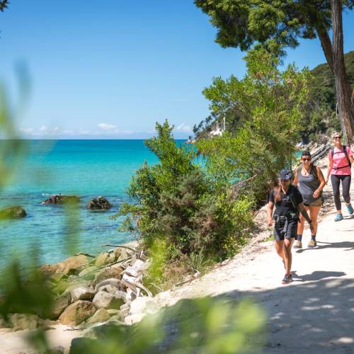 People walking along water in Abel Tasman NP