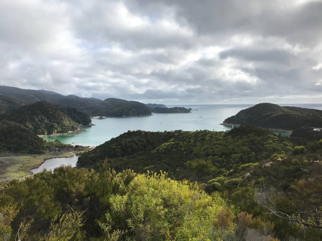 Beautiful views out to Anchorage Harbour and Torrent Bay |  <i>Janet Oldham</i>