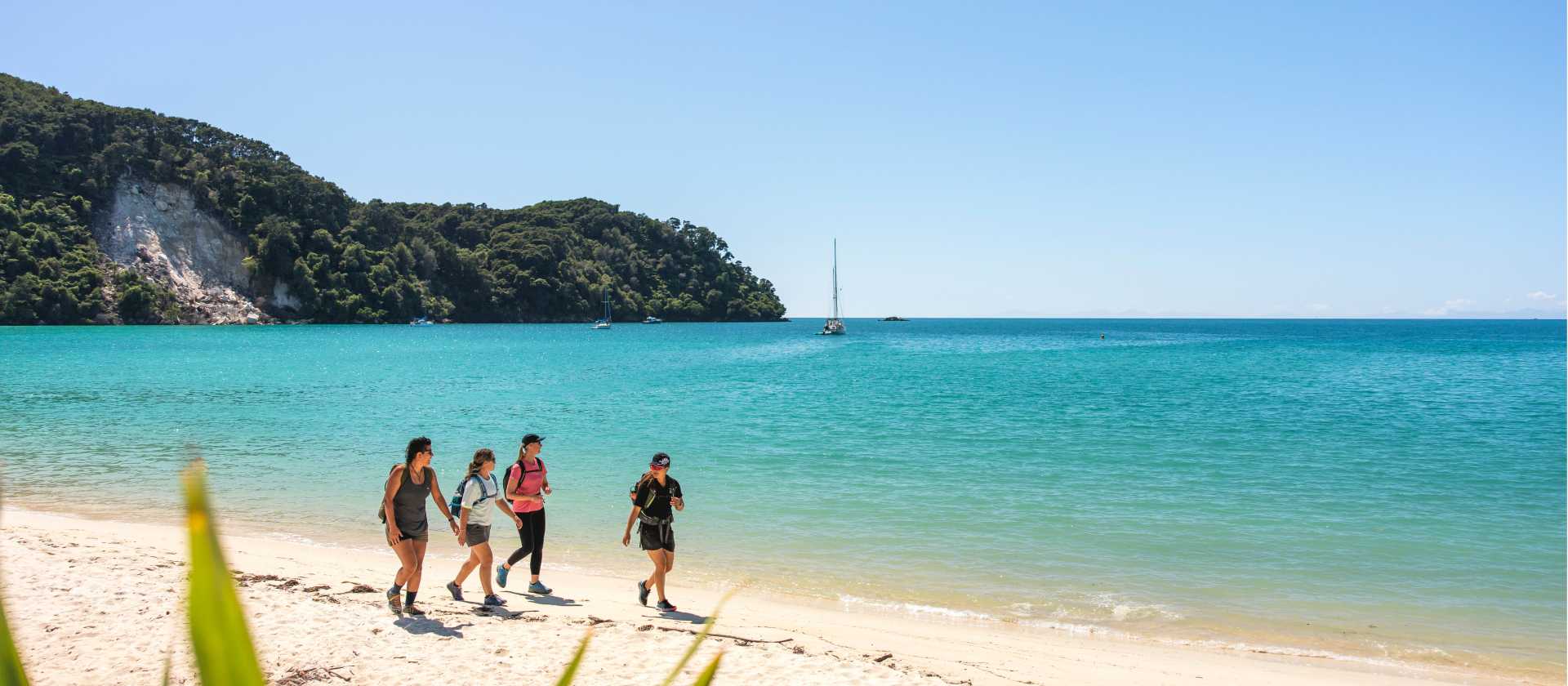 Wilson’s Walk, Abel Tasman National Park | Miles Holden
