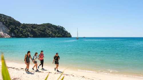 Wilson’s Walk, Abel Tasman National Park | Miles Holden