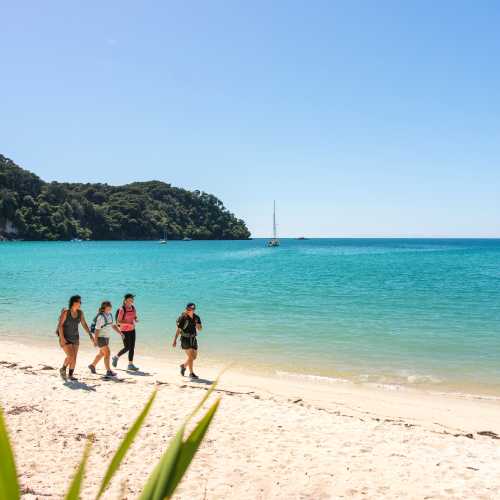 Wilson’s Walk, Abel Tasman National Park