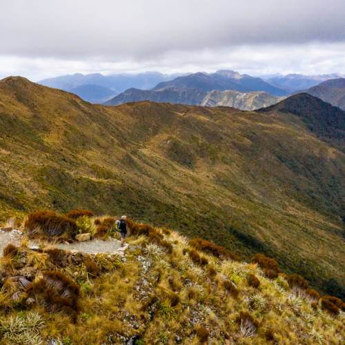 360 degree views out to the Tasman Sea and back towards the Southern Alps