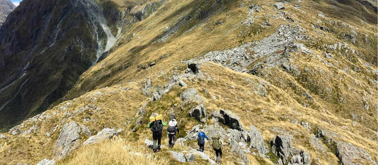 Trekkers on the high alpine trails of Lake Nerine