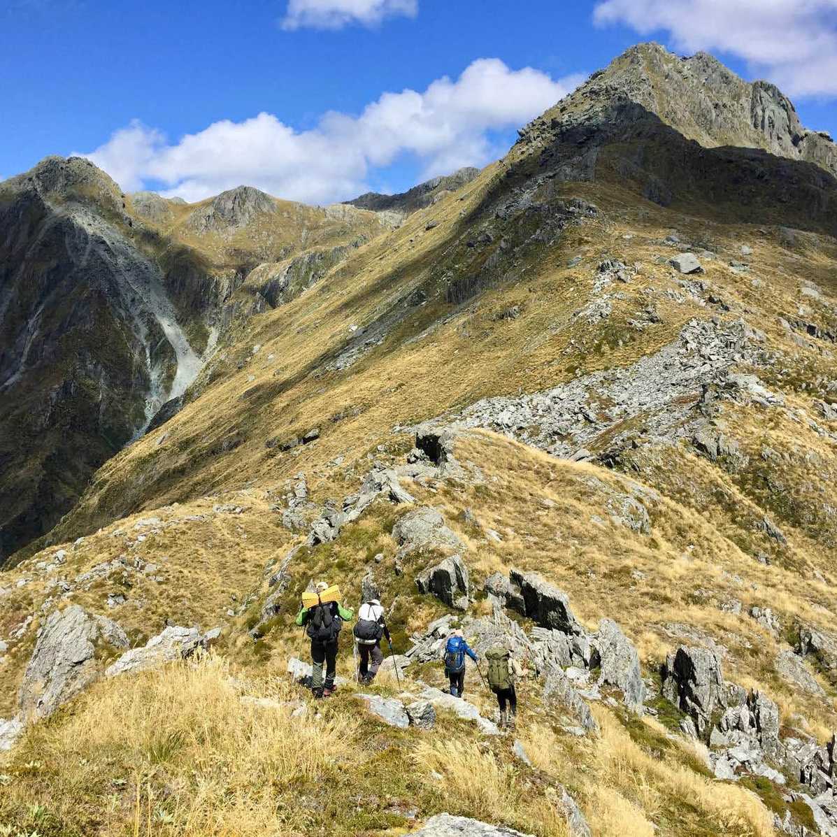 Trekkers on the high alpine trails of Lake Nerine