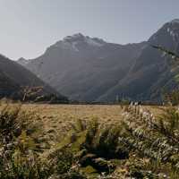 Walk through stunning valleys with towering mountains above on the Upper Wilkin