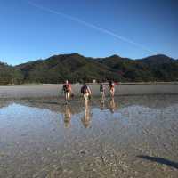 Crossing the Awaroa Inlet at low tide | Janet Oldham