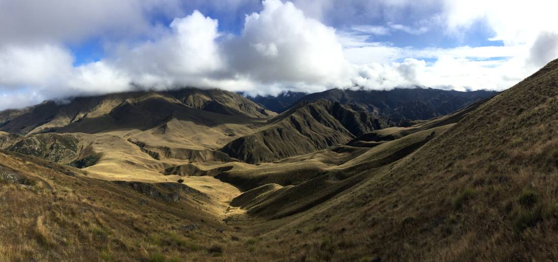 Stunning backcountry vistas in Ben Lomond Station |  <i>Janet Oldham</i>