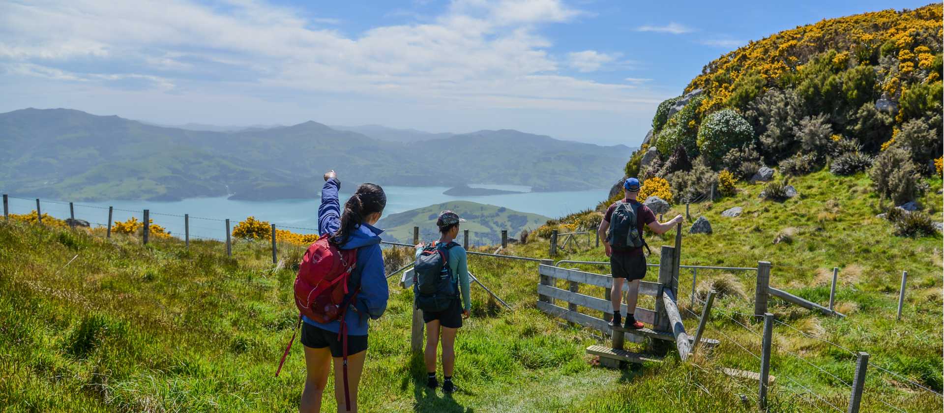 Taking in incredible coastal sights along a farm track