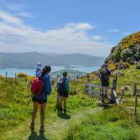 Taking in incredible coastal sights along a farm track
