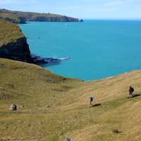 Explore a usually inaccessible region