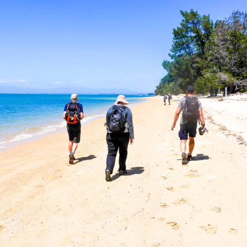 Parts of the Abel Tasman Walk are along the stunning white sand beaches