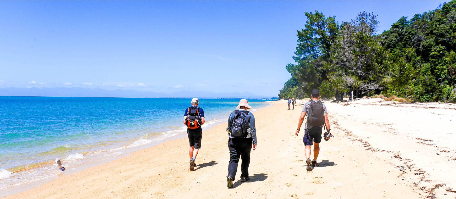 Parts of the Abel Tasman Walk are along the stunning white sand beaches | Natalie Tambolash