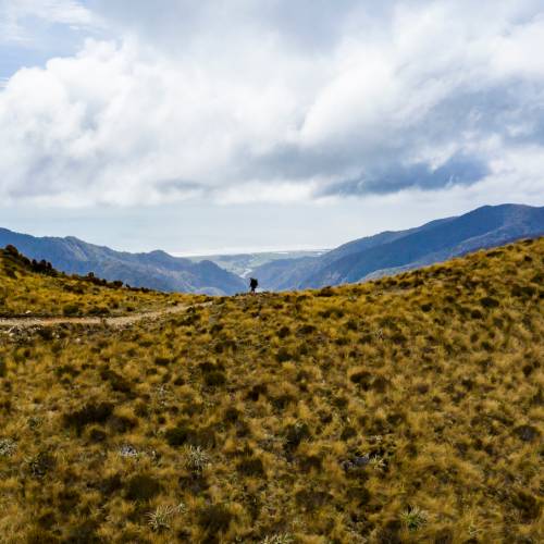 Just before reaching the Moonlight Tops Hut the Tasman Sea comes into view