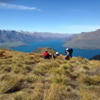 No better place to take a break and admire the view than on Ben Lomond Saddle | Janet Oldham