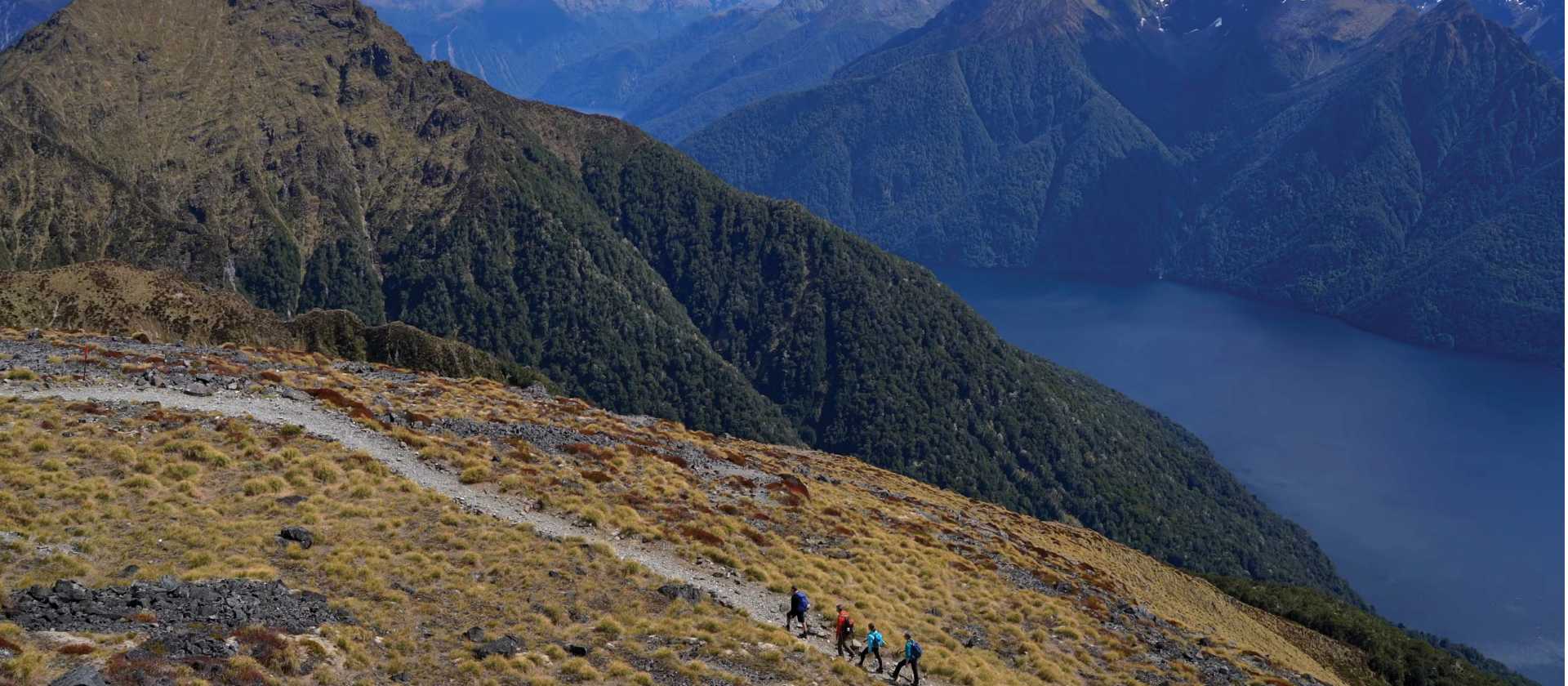 Hiking on incredible trails in Fiordland National Park | Trips & Tramps