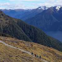 Hiking on incredible trails in Fiordland National Park | Trips & Tramps