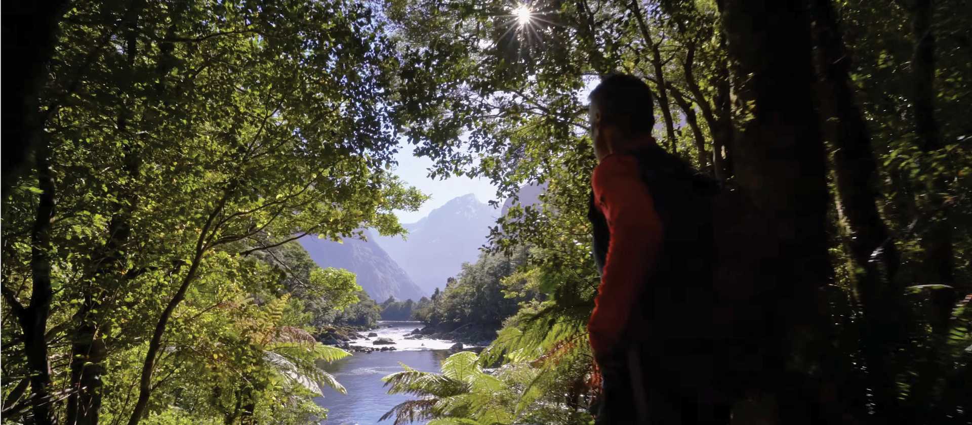 Hiking on incredible trails in Fiordland National Park | Trips & Tramps