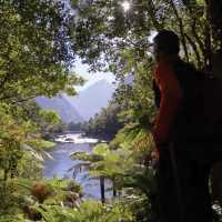 Hiking on incredible trails in Fiordland National Park | Trips & Tramps