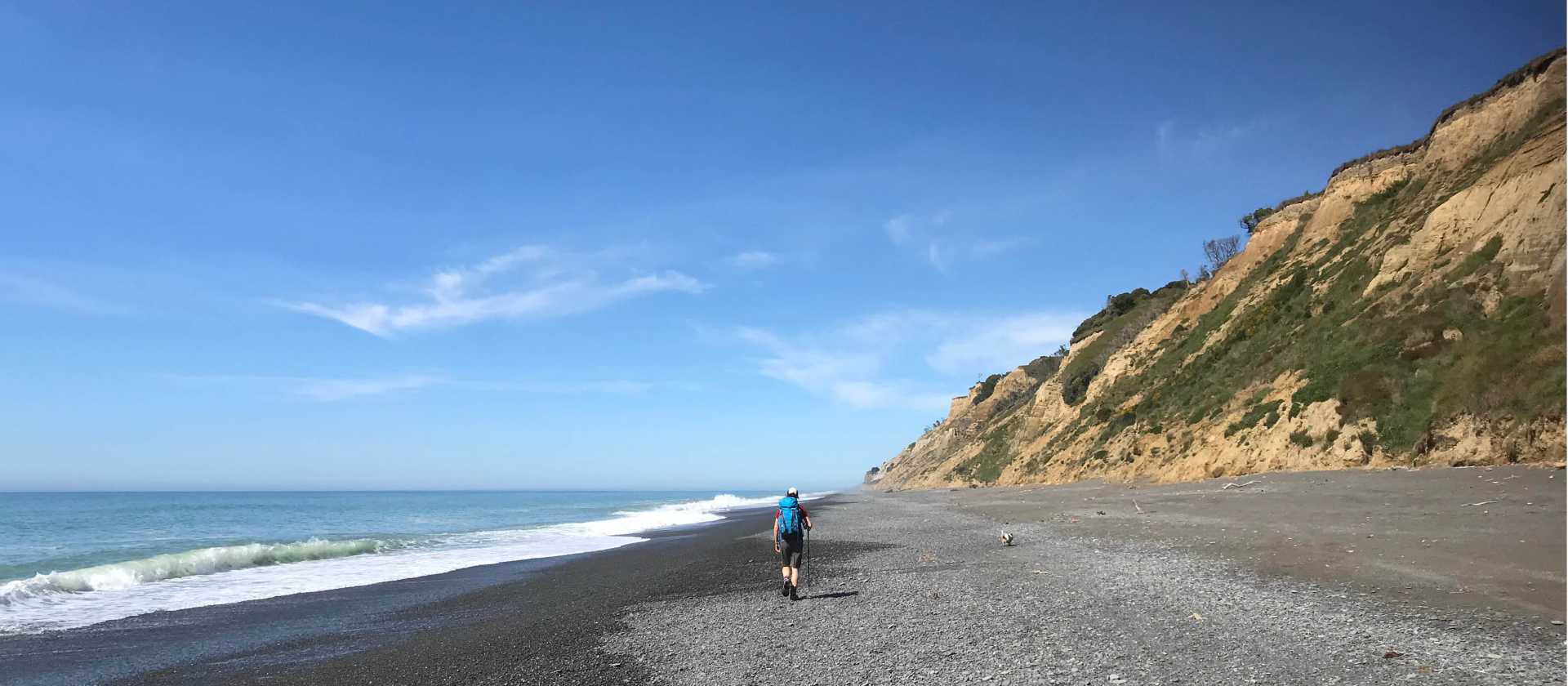Walking along the black sands of the Kaikoura Coast | Janet Oldham