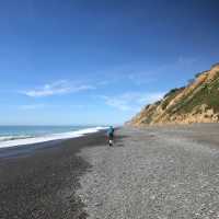 Walking along the black sands of the Kaikoura Coast | Janet Oldham