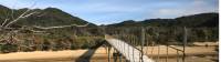 Bridge at the northern end of Onetahuti Beach |  <i>Janet Oldham</i>