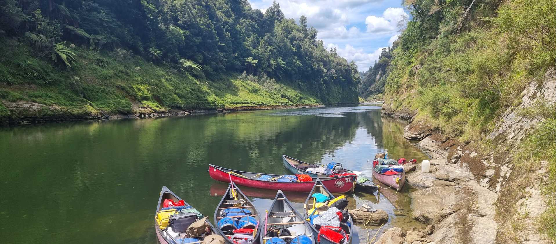 In among true New Zealand Wilderness