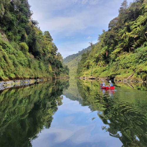 Pristine and relaxing nature along the Whanganui Journey