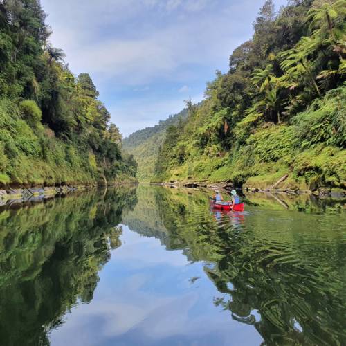 Pristine and relaxing nature along the Whanganui Journey