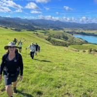 Walkers enjoying the Coromandel coastline