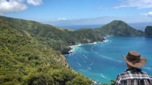 Admiring the view along the Coastal Walkway on the northern tip of the Coromandel Peninsula | Kylie Rae