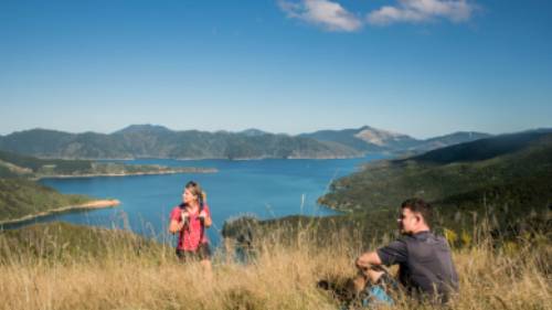 Time to stop and simply admire the view over Queen Charlotte | MarlboroughNZ