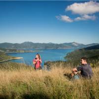 Time to stop and simply admire the view over Queen Charlotte | MarlboroughNZ