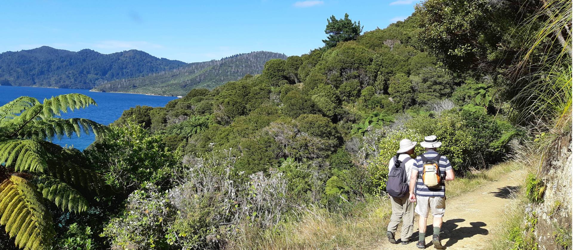 A couple of walkers take in the sights and stunning views along the track | Kaye Wilson