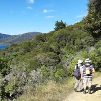 A couple of walkers take in the sights and stunning views along the track | Kaye Wilson