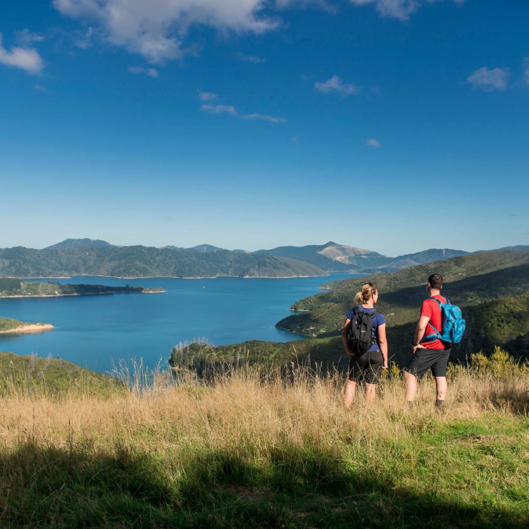 Taking in the amazing views from the top of the Queen Charlotte Track | MarlboroughNZ