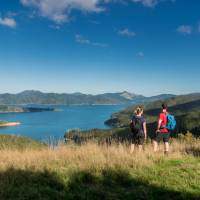 Taking in the amazing views from the top of the Queen Charlotte Track | MarlboroughNZ