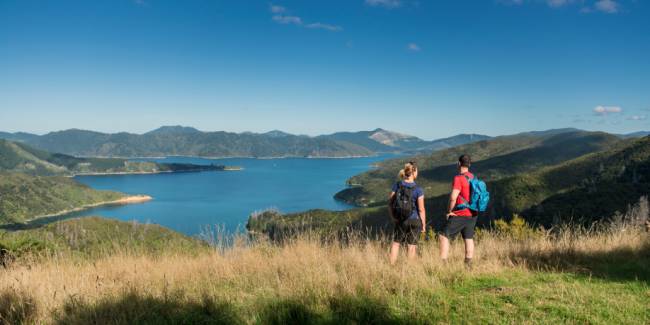 Taking in the amazing views from the top of the Queen Charlotte Track