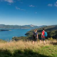 Taking in the amazing views from the top of the Queen Charlotte Track |  <i>MarlboroughNZ</i>