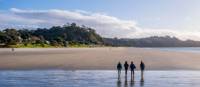 A group of walkers crossing the tidal estuary on the Te Ara Hura | Terra and Tide