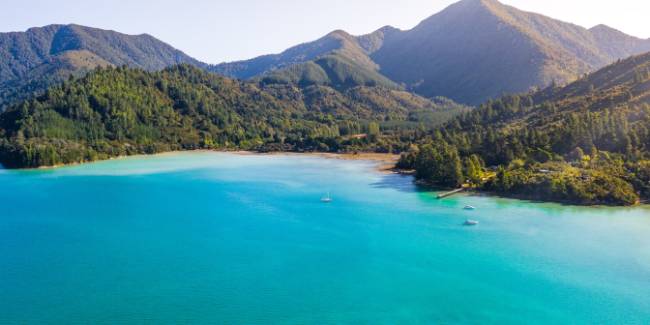 Discover the stunning Pelorus Sound while hiking the Nydia Track