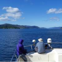 There is plenty of deck space onboard to enjoy the views and get out the cameras | Kaye Wilson