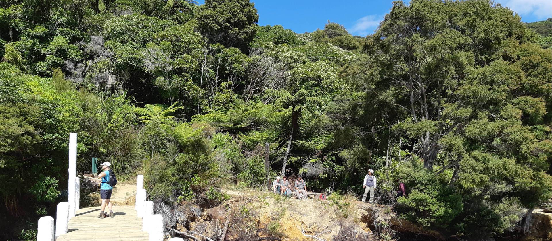 One of the many jetties used as a drop off or pick up along the Queen Charlotte | Kaye Wilson