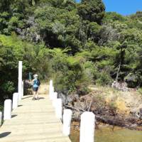 One of the many jetties used as a drop off or pick up along the Queen Charlotte | Kaye Wilson