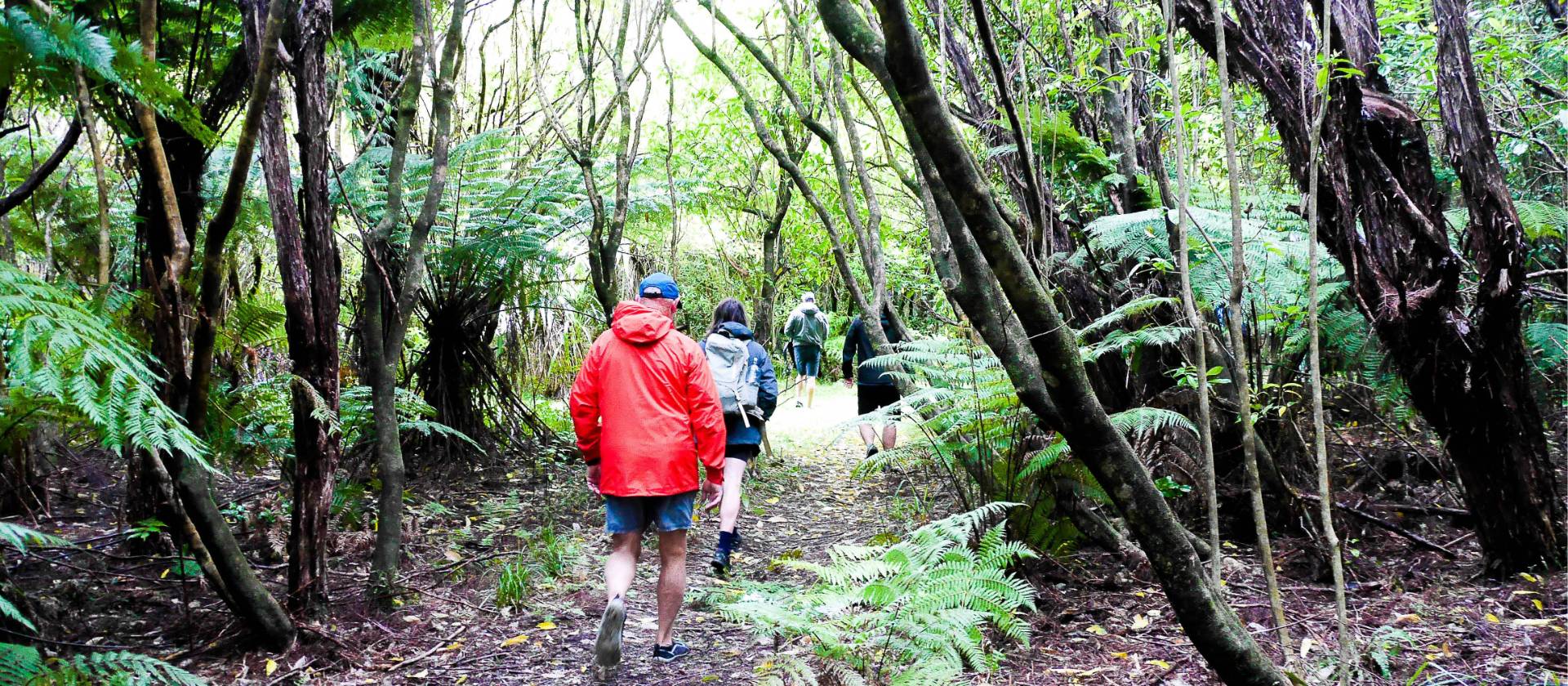 Heading out to explore the history of the Awaroa region | Natalie Tambolash