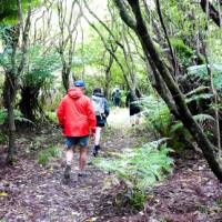 Heading out to explore the history of the Awaroa region | Natalie Tambolash