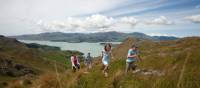 Family walking on the Port Hills | ChristchurchNZ