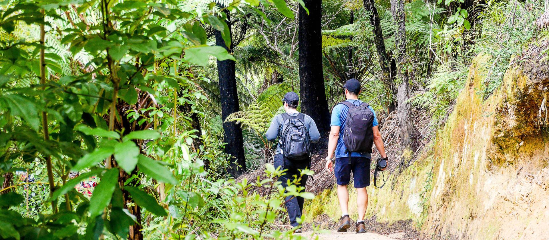 Walkers on the well formed Abel Tasman tracks enjoy the native bush | Natalie Tambolash